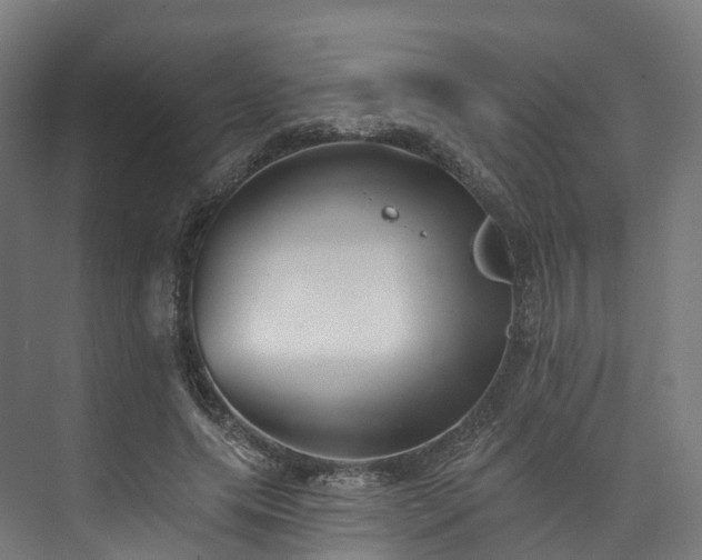 X0000073850639200608171034