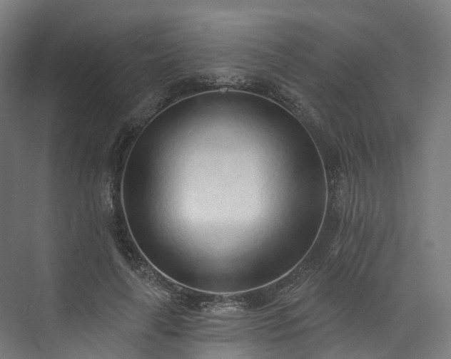 X0000073850643200608171034