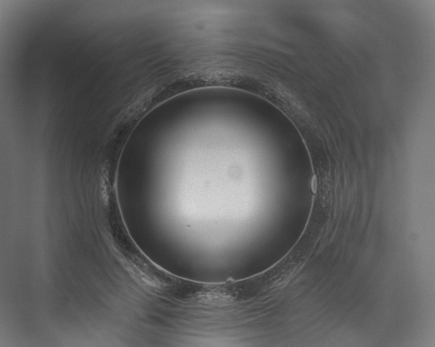 X0000073850644200608171034