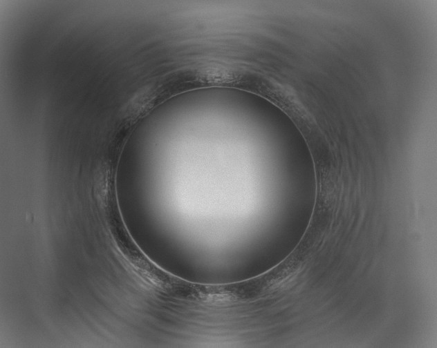 X0000073850645200608171034