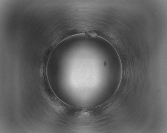 X0000073850647200608171034