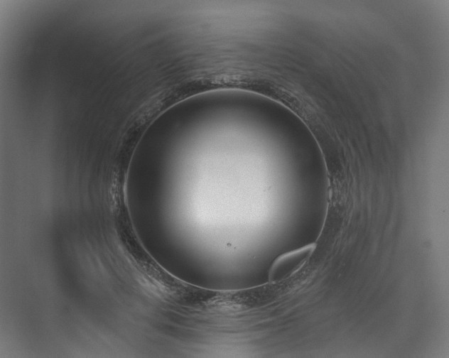 X0000073850648200608171034