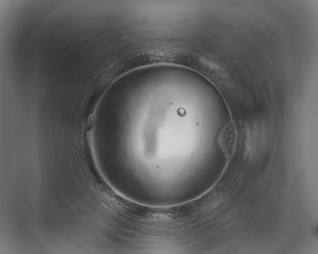 X0000073850649200608171034