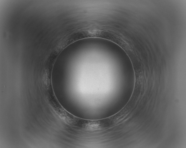 X0000073850651200608171034