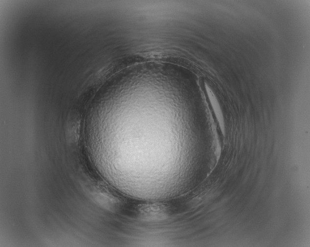 X0000073850652200608171034