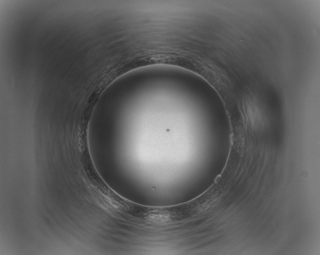 X0000073850653200608171034