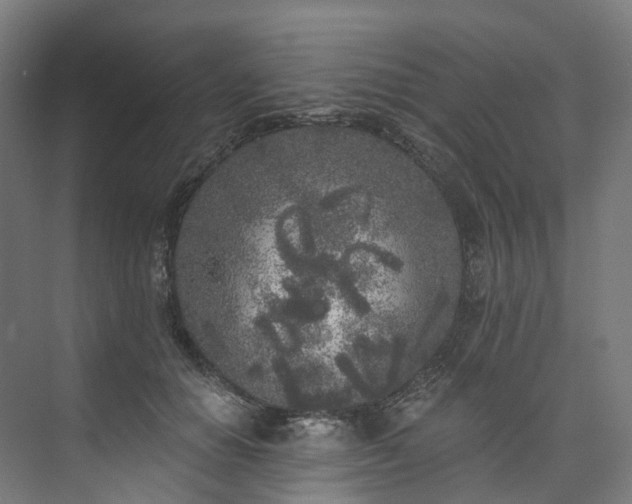 X0000073850654200608171034