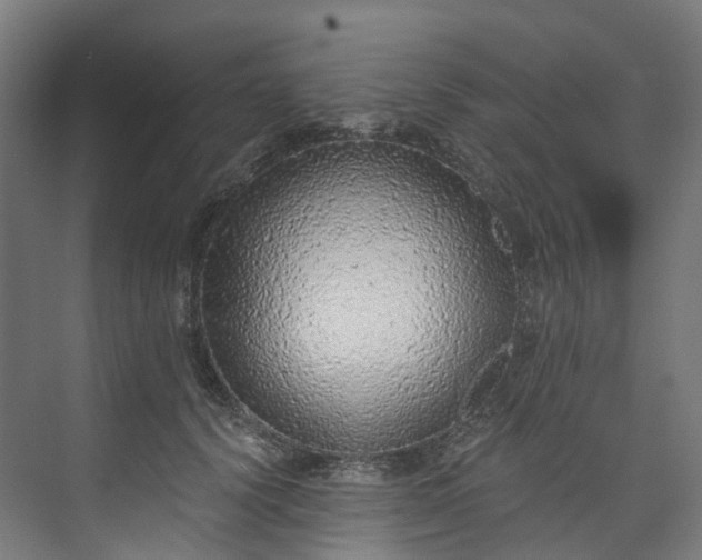 X0000073850656200608171034