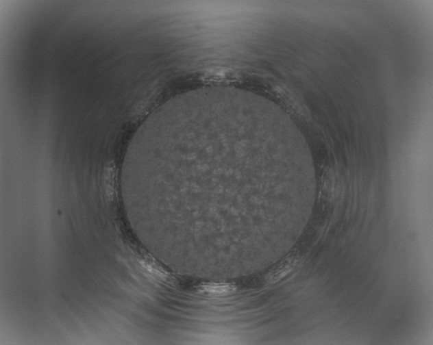 X0000073850659200608171034