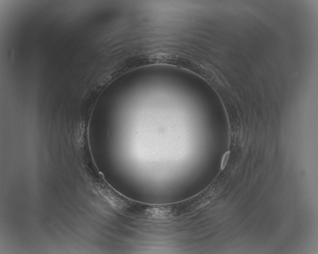 X0000073850660200608171034