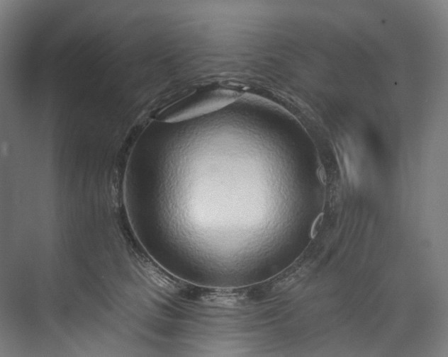 X0000073850661200608171034