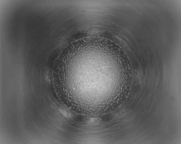 X0000073850663200608171034