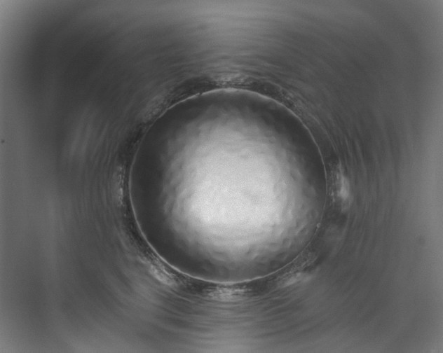 X0000073850664200608171034