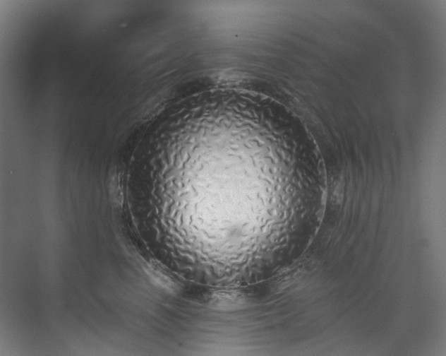 X0000073850666200608171034