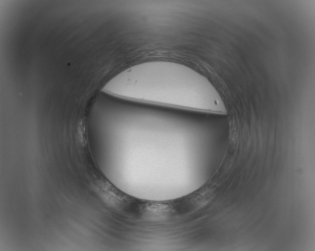 X0000073850669200608171034