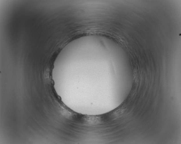 X0000073850670200608171034