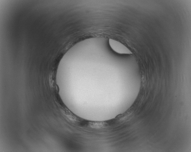 X0000073850671200608171034