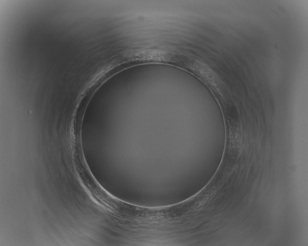 X0000073850674200608171033