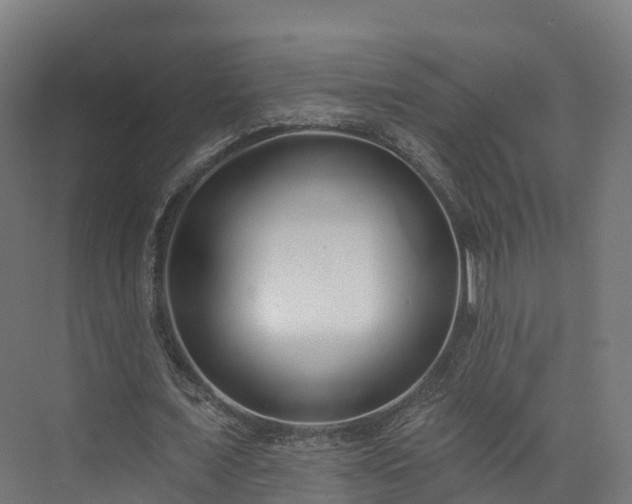 X0000073850675200608171033