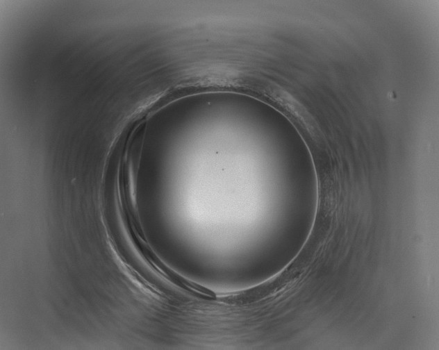 X0000073850677200608171033