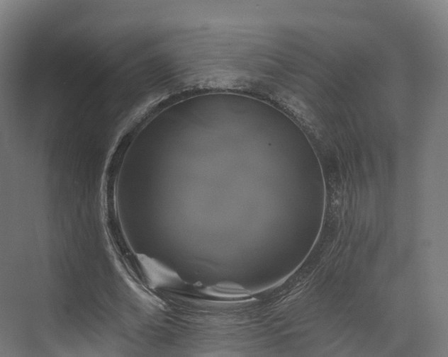 X0000073850678200608171033