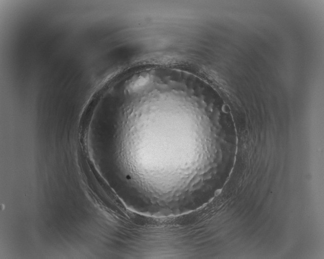 X0000073850679200608171033