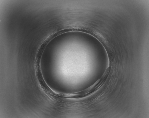 X0000073850680200608171033