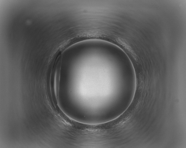 X0000073850681200608171033