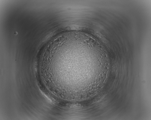 X0000073850683200608171033