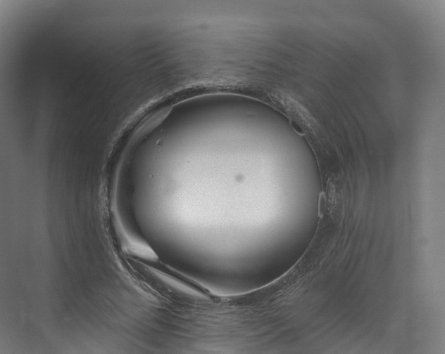 X0000073850684200608171033