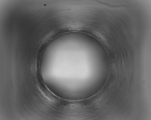 X0000073850686200608171033