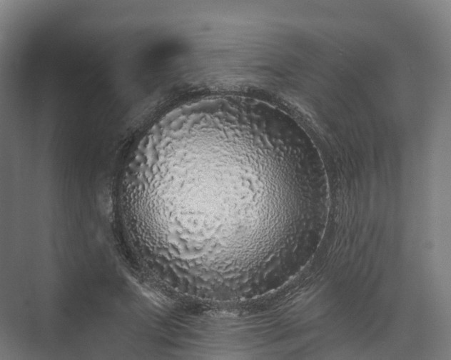 X0000073850687200608171033