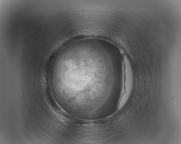 X0000073850688200608171033