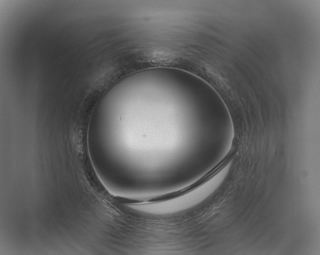 X0000073850689200608171033