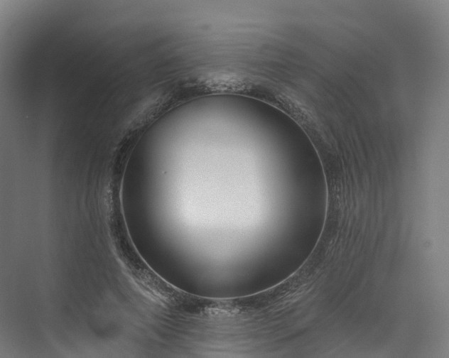 X0000073850690200608171033