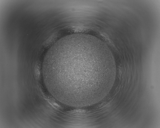 X0000073850691200608171033