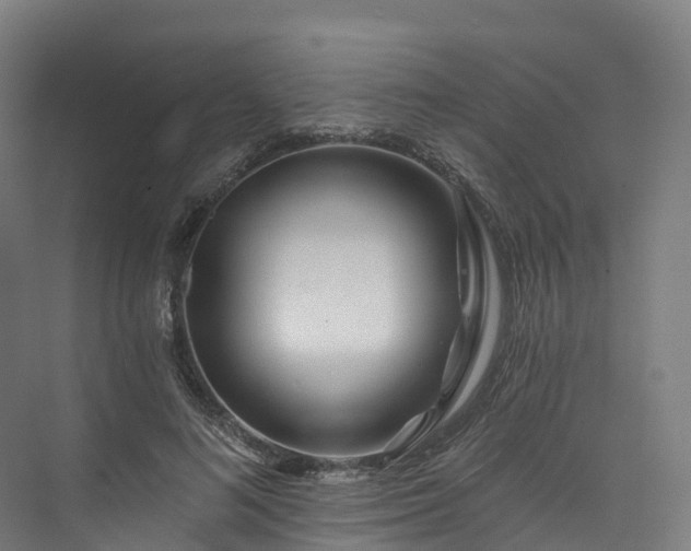 X0000073850692200608171033