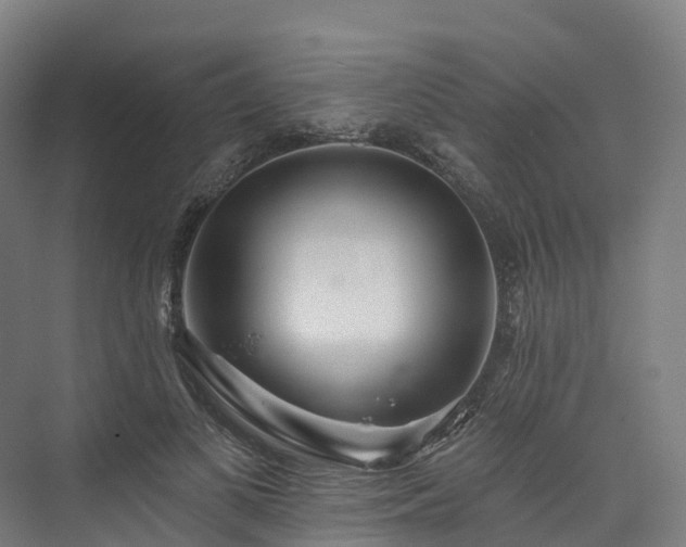 X0000073850693200608171033