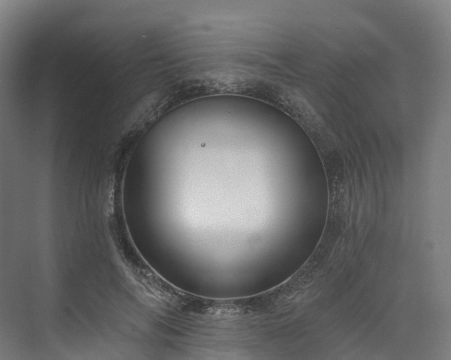 X0000073850694200608171033