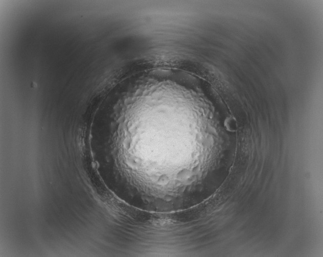 X0000073850695200608171033