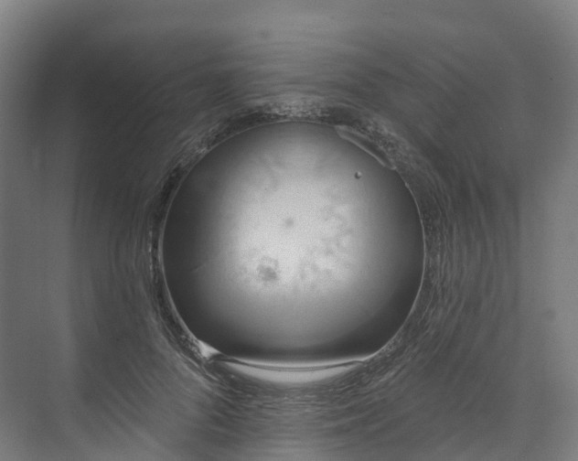 X0000073850696200608171033