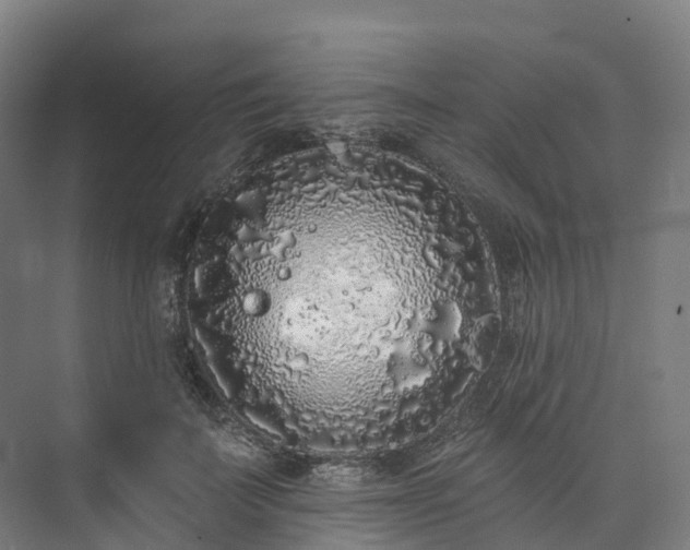 X0000073850699200608171033