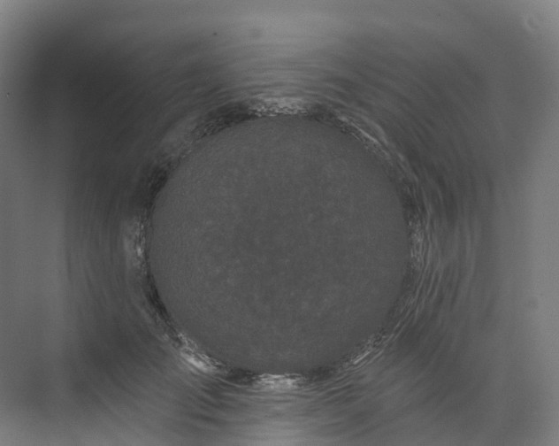 X0000073850701200608171033