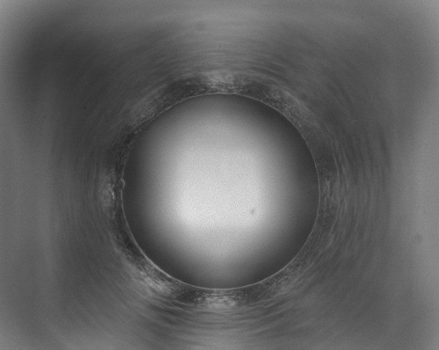 X0000073850702200608171033