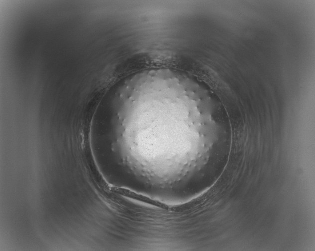 X0000073850703200608171033