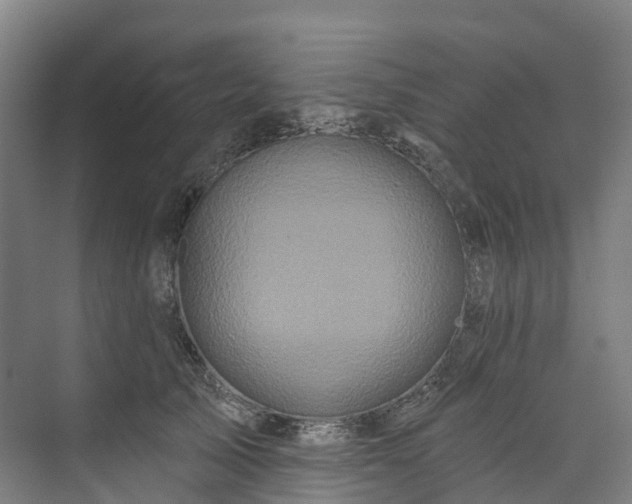 X0000073850705200608171033