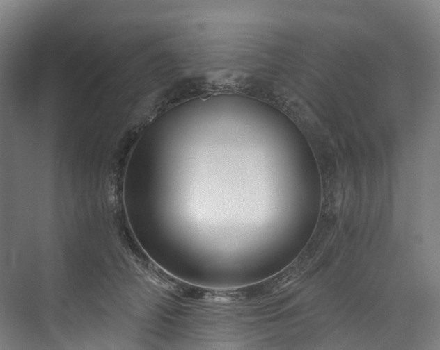 X0000073850706200608171033