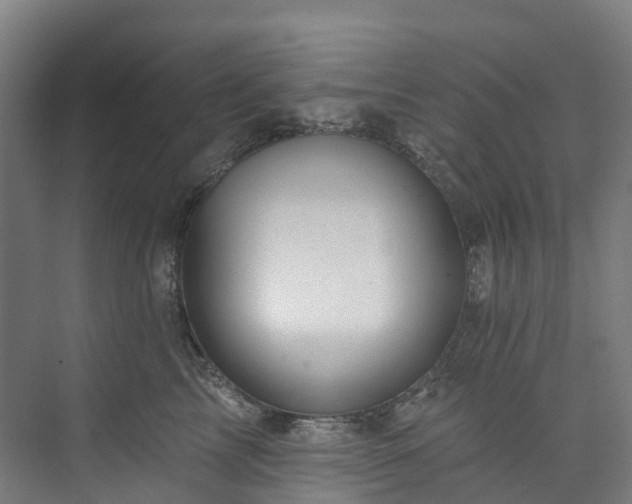 X0000073850713200608171033