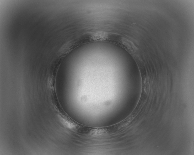 X0000073850714200608171033