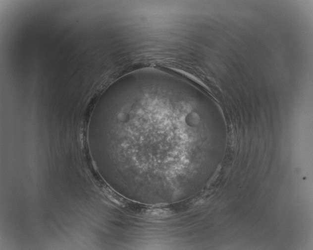 X0000073850716200608171033